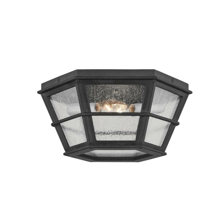 Outdoor Lighting * | Lake County 13.75 In. 2-Light French Iron, Clear Seeded Flush Mount By Troy Lighting